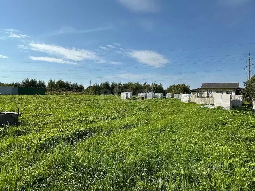 Участок в Калужская область, Жуковский муниципальный округ, Ручеек-2 ... - Фото 1