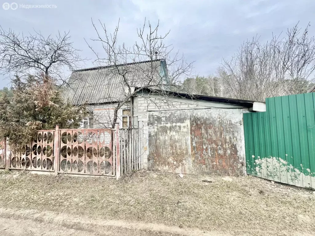 Дом в Брянский район, Нетьинское сельское поселение, деревня Глаженка ... - Фото 2