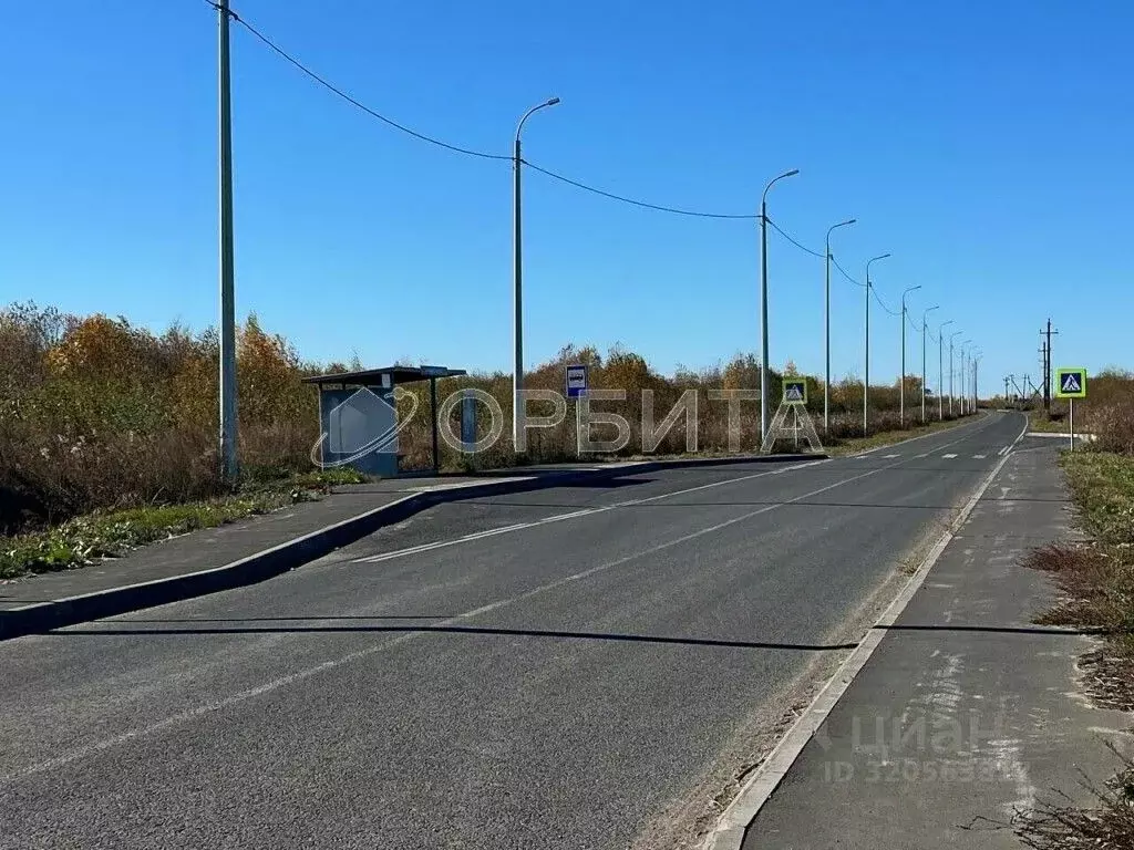 Участок в Тюменская область, Тюмень Царево садовое товарищество, ул. ... - Фото 2