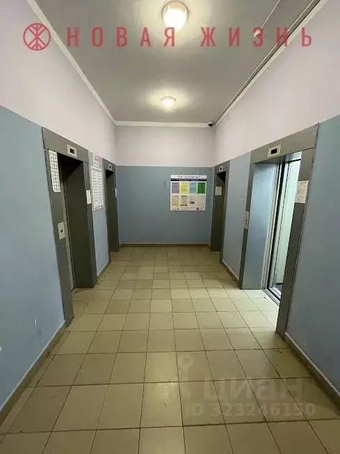 3-к кв. Самарская область, Самара Ташкентская ул., 173 (99.0 м) - Фото 2