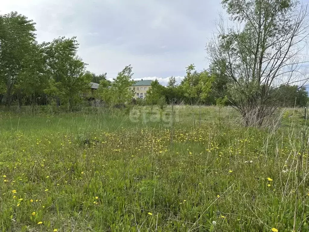 Участок в Башкортостан, Ишимбайский район, с. Петровское Береговая ул. ... - Фото 1