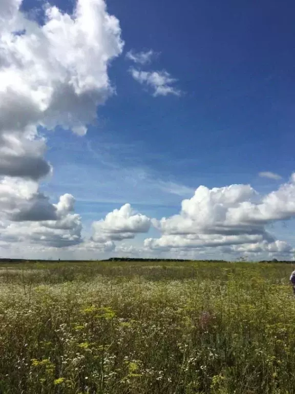 Участок в Татарстан, Высокогорский район, с. Чепчуги  (14.0 сот.) - Фото 1