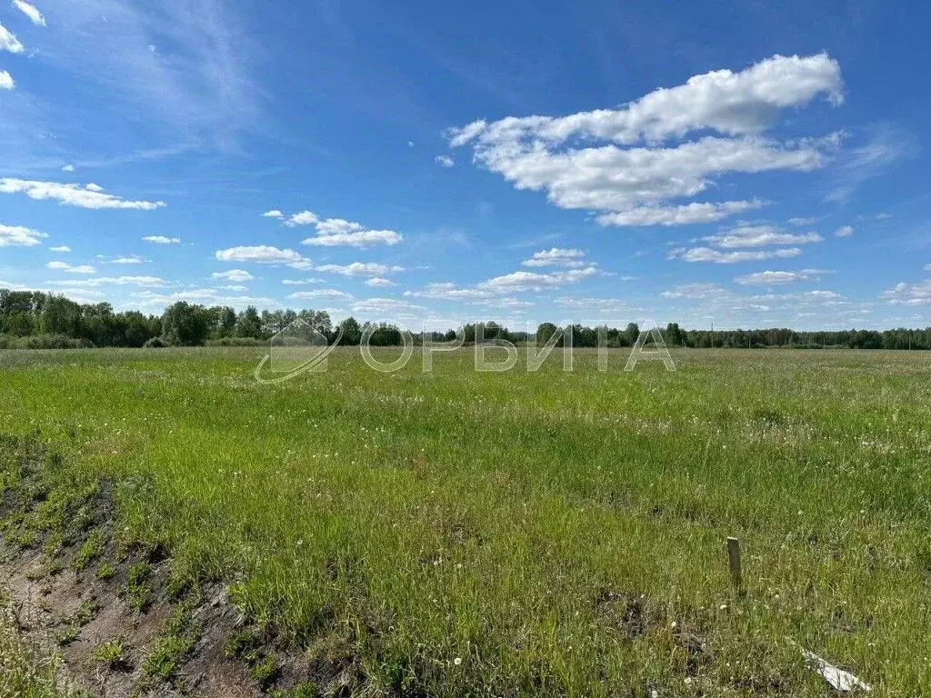 Участок в Тюменская область, Тюменский район, пос. Новотуринский  ... - Фото 2