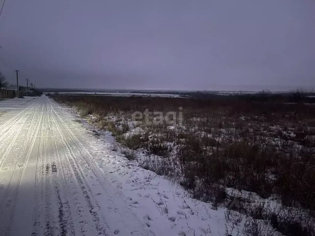 Участок в Белгородская область, Белгородский район, Яснозоренское ... - Фото 1