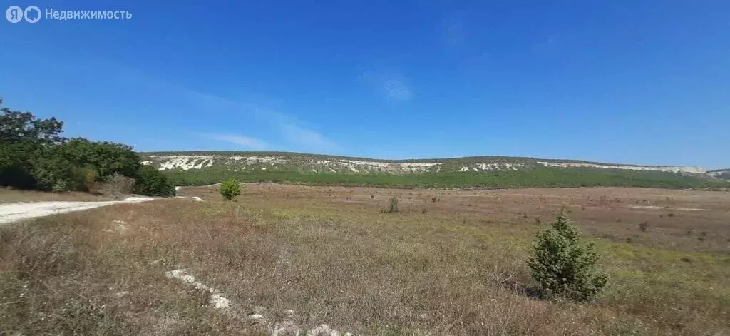 Участок в Терновский муниципальный округ, КСП Память Ленина (266 м) - Фото 2