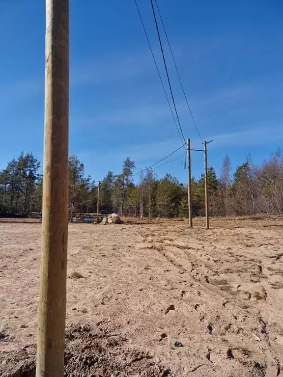 Участок в Ленинградская область, Выборгский район, Приморское ... - Фото 2