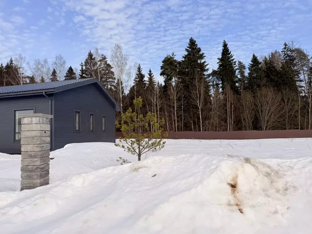 Участок в Московская область, Истра муниципальный округ, д. Павловское ... - Фото 1