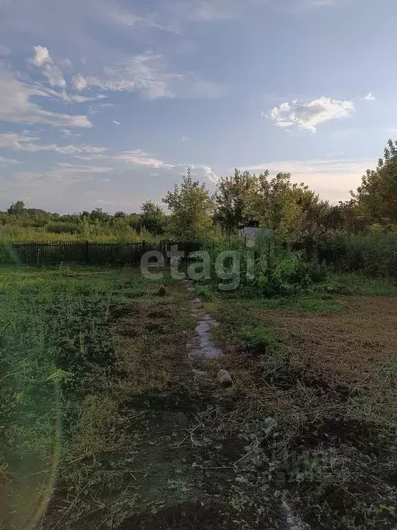 Участок в Алтайский край, Смоленский район, с. Точильное Подгорная ... - Фото 2