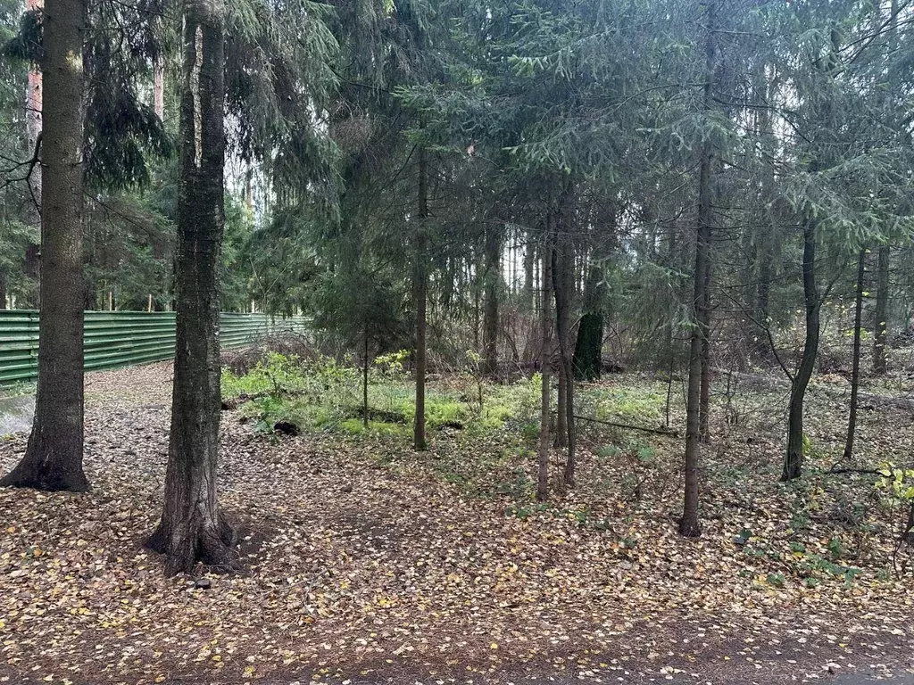 Участок, 10 сот., поселения (ижс) - Фото 2