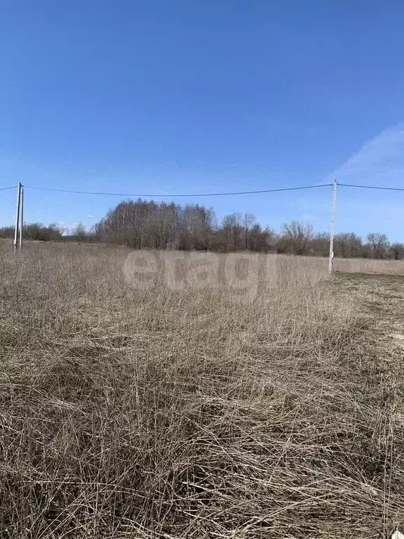 Участок в Костромская область, Кострома Соколиное Гнездо кп, 1 (10.3 ... - Фото 1