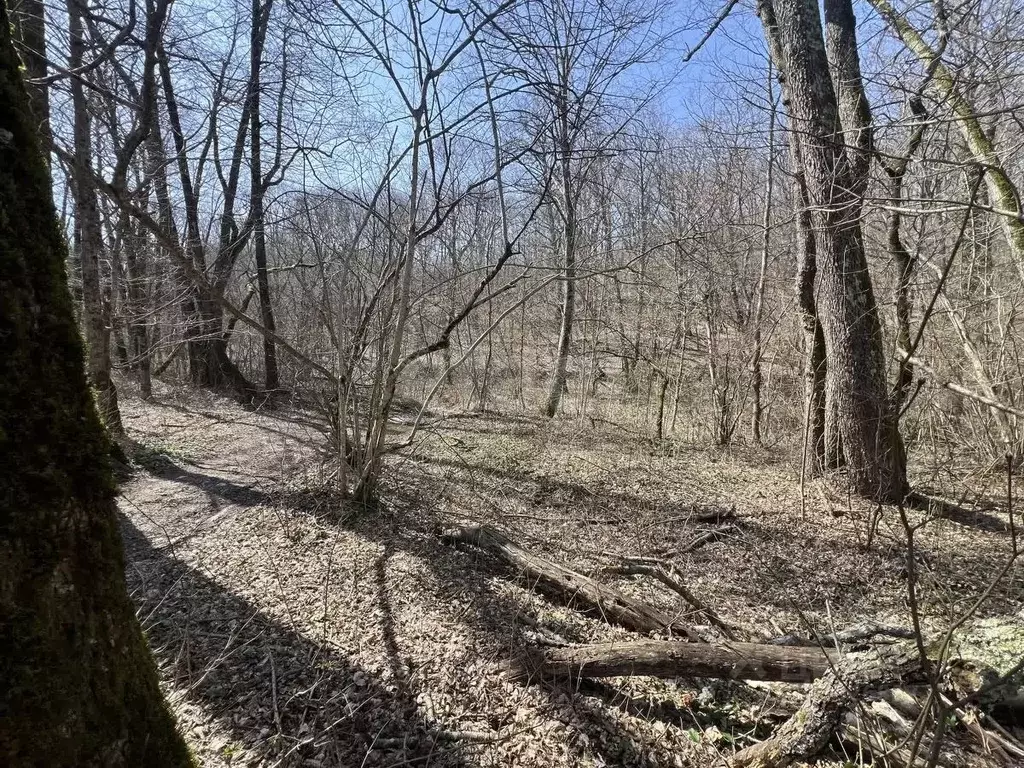 Участок в Краснодарский край, Геленджик  (91.0 сот.) - Фото 2