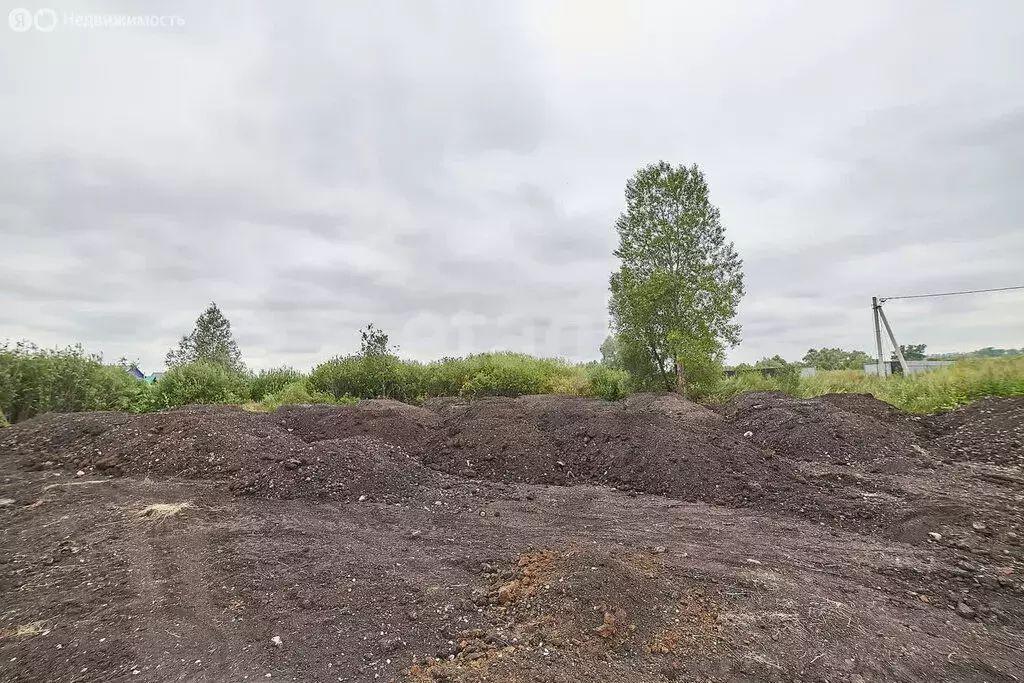 Участок в Стерлитамакский район, Отрадовский сельсовет, село Новая ... - Фото 2