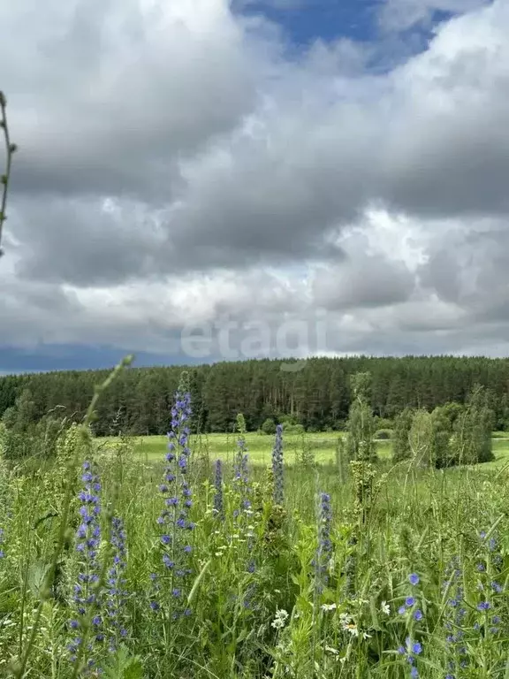 Участок в Тульская область, Тула муниципальное образование, д. ... - Фото 0