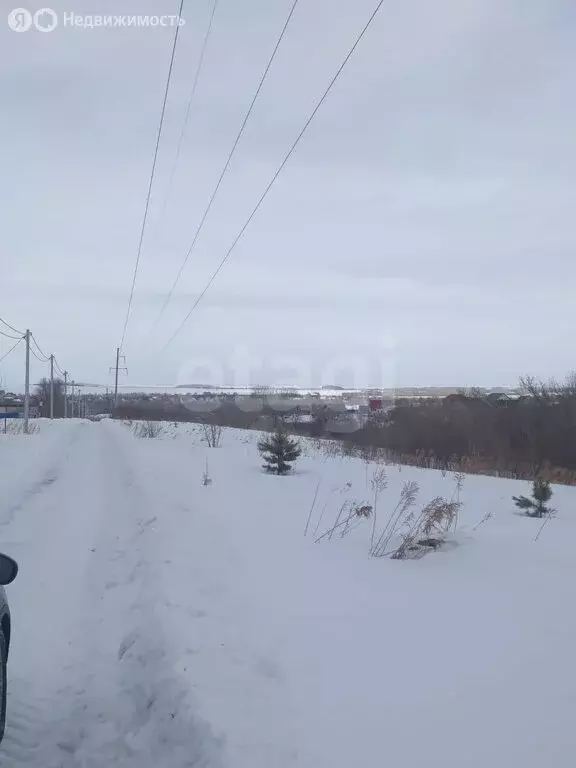 Участок в Белокуриха, Грибная улица (8.9 м) - Фото 1