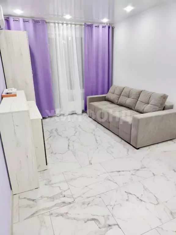 Студия Новосибирская область, Новосибирский район, Мочищенский ... - Фото 2