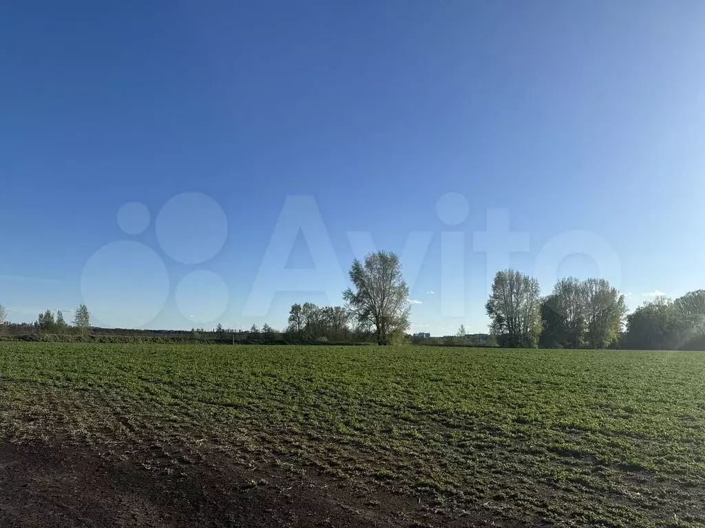 Участок 8 сот. (ИЖС) - Фото 0