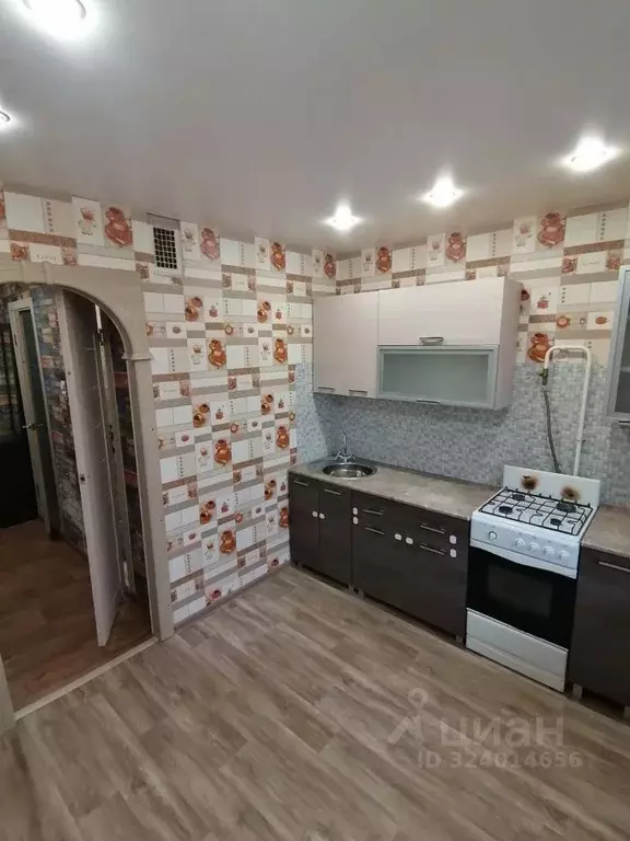 1-к кв. Псковская область, Псковский район, Тямшанская волость, д. ... - Фото 2