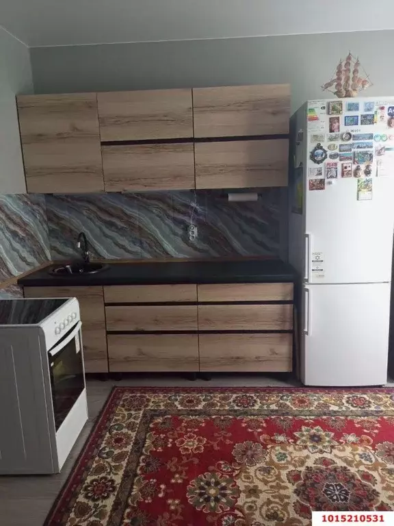 1-к кв. Краснодарский край, Краснодар Новознаменский жилрайон, ул. ... - Фото 1