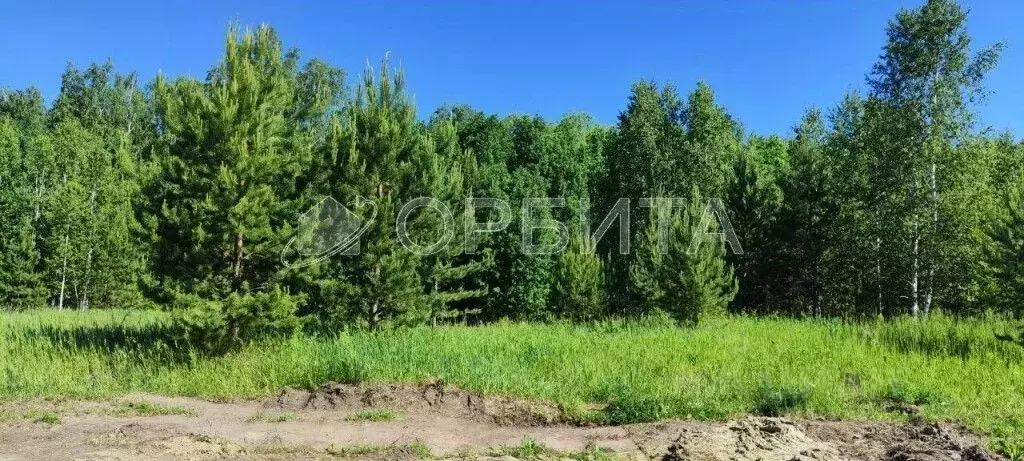 Участок в Тюменская область, Тюменский район, Винзили рп, Надежда СНТ ... - Фото 0