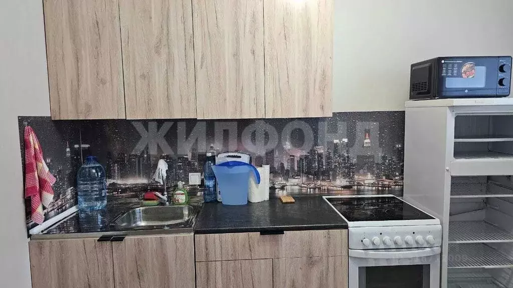 1-к кв. Новосибирская область, Новосибирский район, Барышевский ... - Фото 0