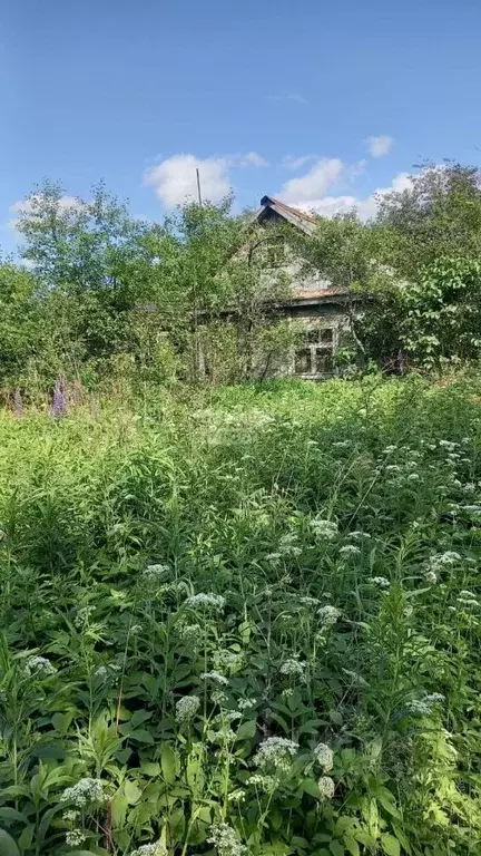 Участок в Ивановская область, Иваново пос. Дальний,  (4.92 сот.) - Фото 1