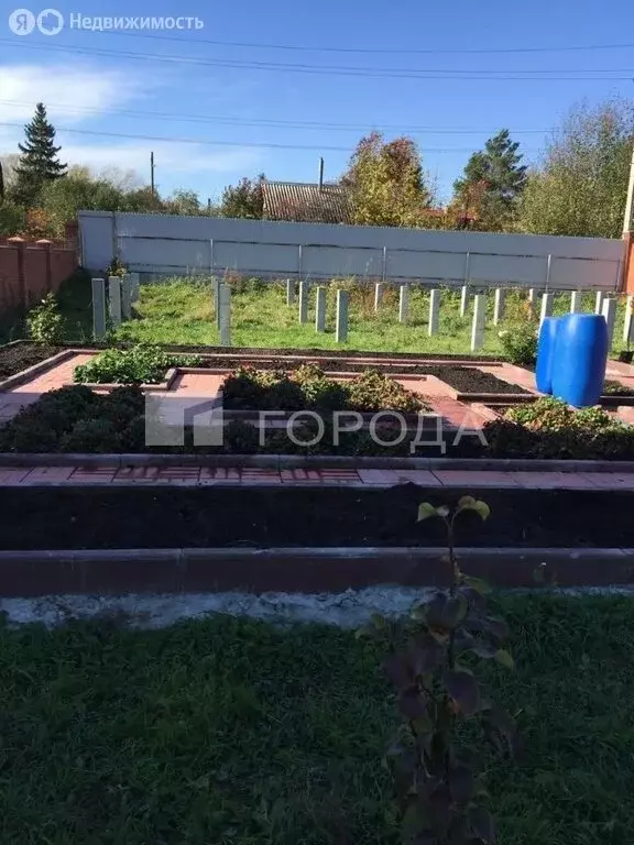 Участок в Новосибирск, садовое товарищество Садовод, 291 (10 м) - Фото 1