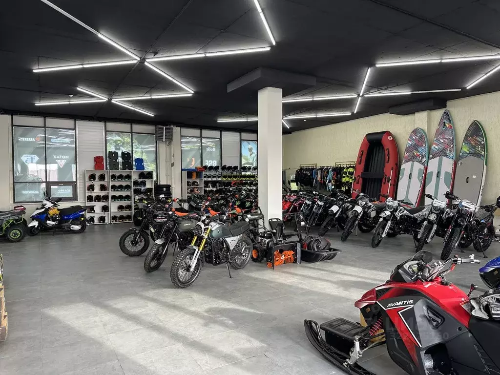 Помещение свободного назначения в Алтайский край, Барнаул ул. Попова, ... - Фото 1