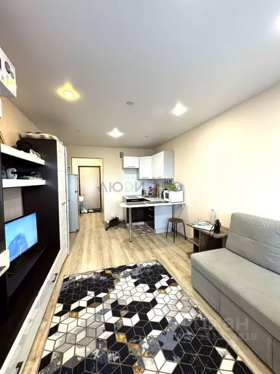 Студия Кировская область, Киров Луговой пер., 3 (23.2 м) - Фото 2