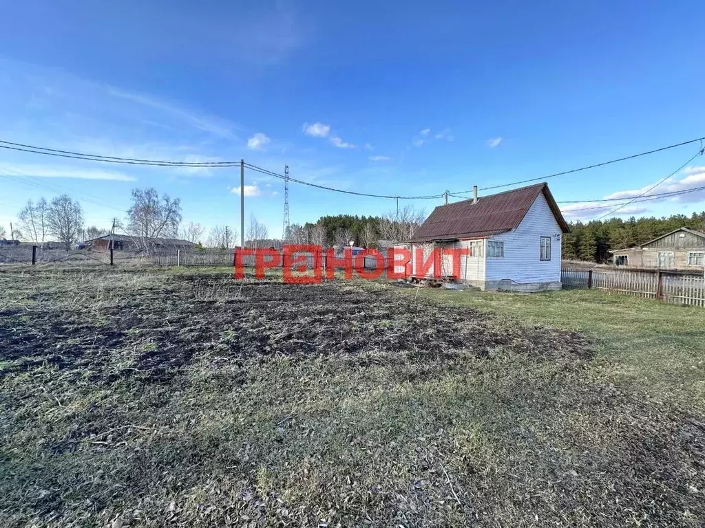 Участок в Новосибирская область, Тогучинский район, с. Усть-Каменка ... - Фото 1