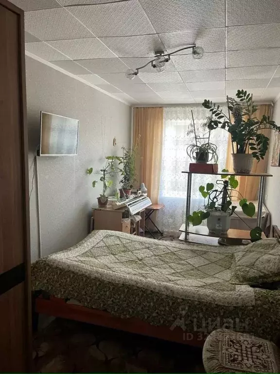 2-к кв. Московская область, Раменский муниципальный округ, с. Речицы ... - Фото 2