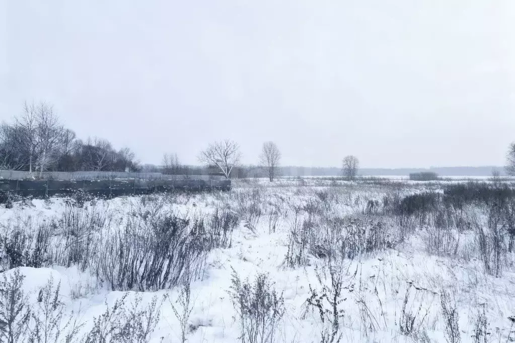 Участок в Московская область, Коломна городской округ, с. Пирочи ул. ... - Фото 2