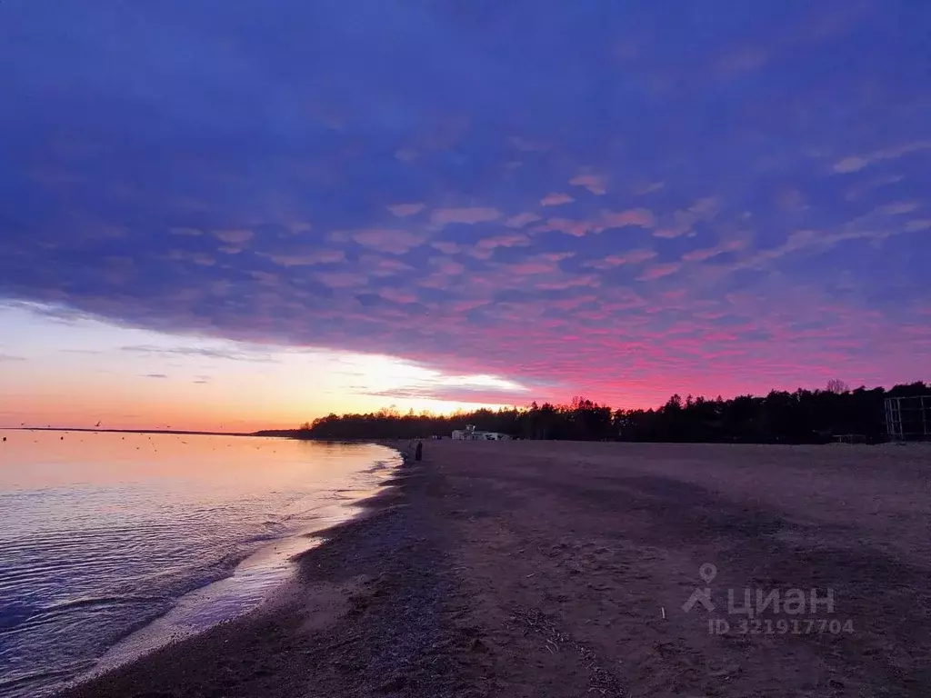 3-к кв. Санкт-Петербург, Санкт-Петербург, Зеленогорск Комсомольская ... - Фото 1