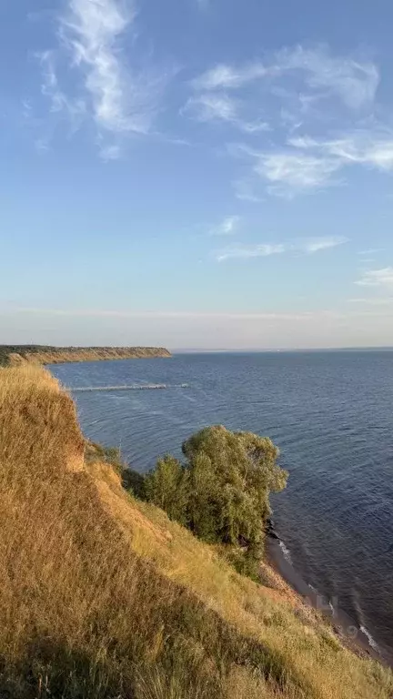 Участок в Ульяновская область, Чердаклинский район, Красноярское ... - Фото 1