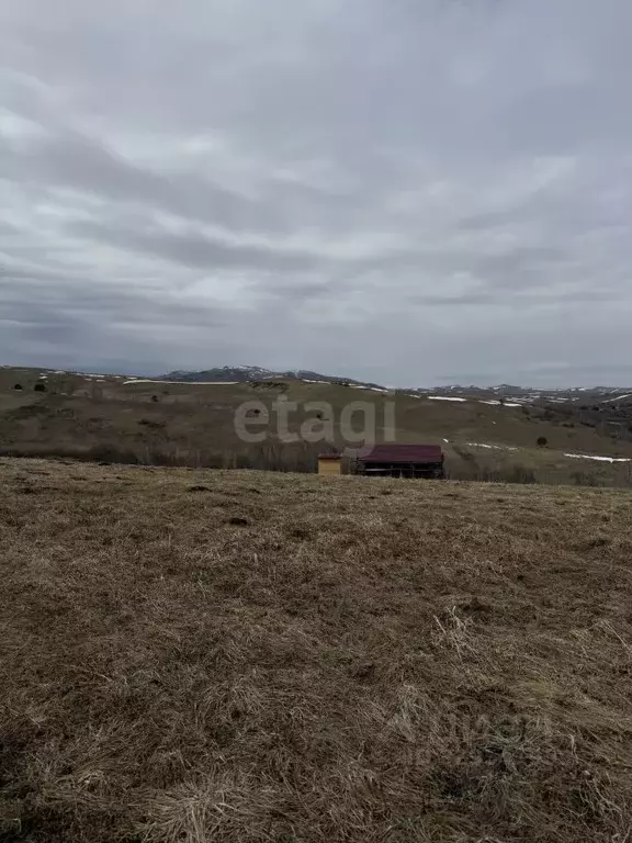 Участок в Алтайский край, Алтайский район, Жемчужина Алтая ДНТ  (10.0 ... - Фото 1