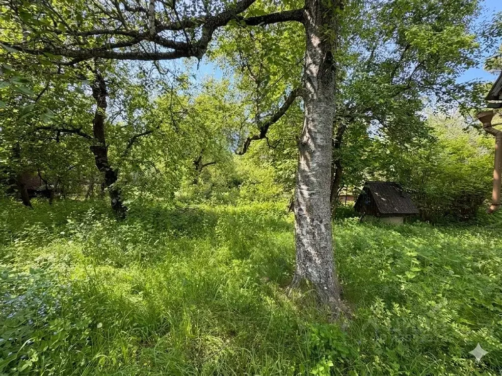 Участок в Московская область, Одинцовский городской округ, Лазурное ... - Фото 1