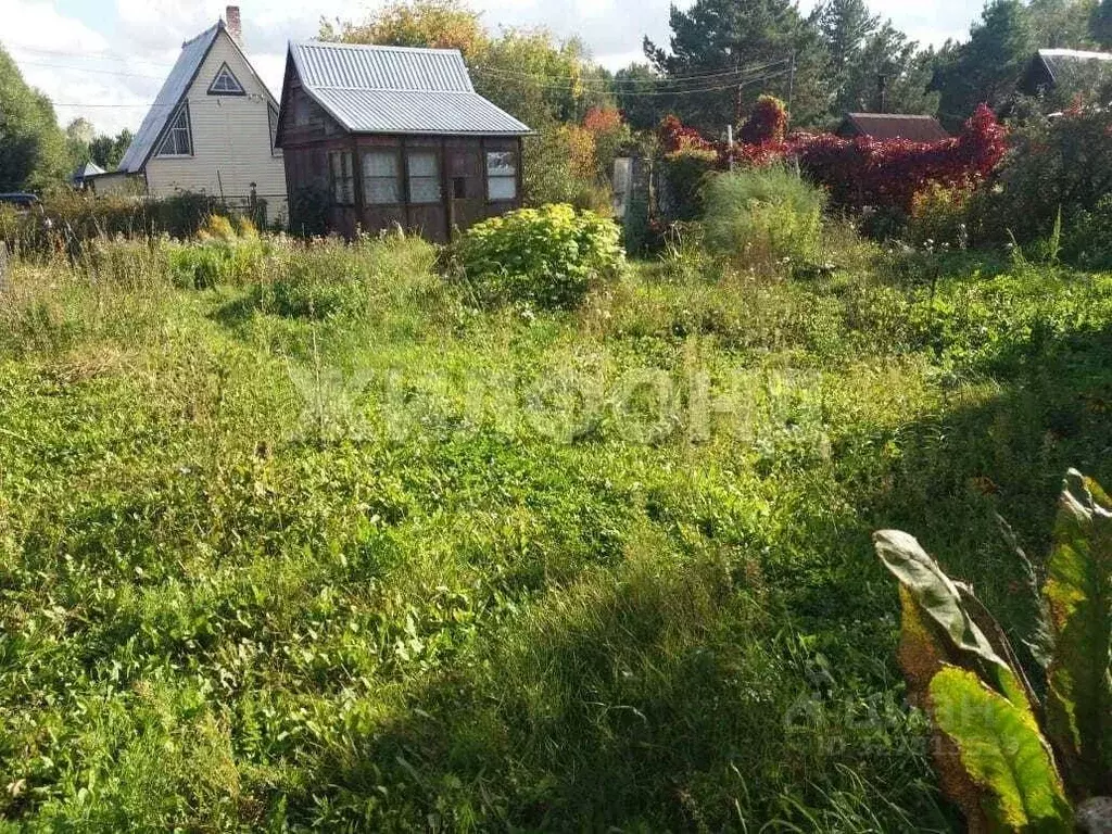 Участок в Новосибирская область, Мошковский район, Яблонька-1 СНТ 41 ... - Фото 2