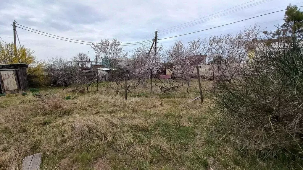 Участок в Севастополь Теремок садоводческое товарищество, 179 (6.5 ... - Фото 0