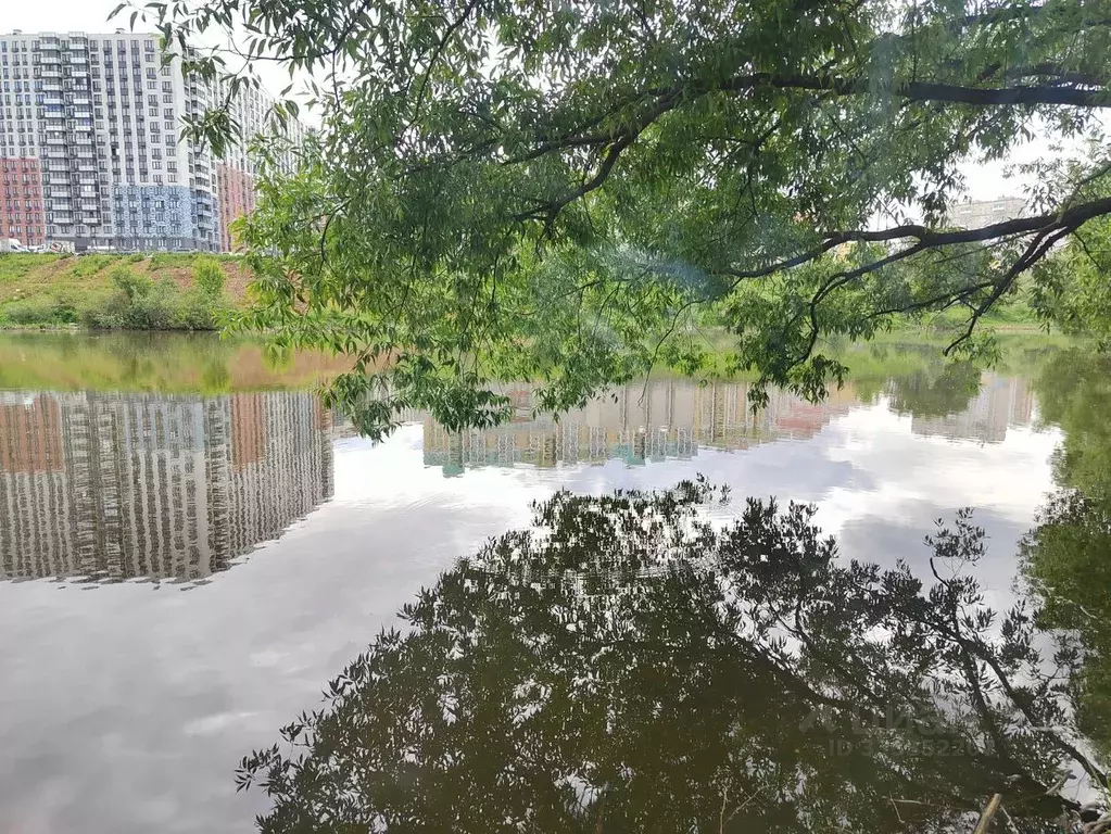 Участок в Московская область, Ленинский городской округ, д. Пуговичино ... - Фото 2