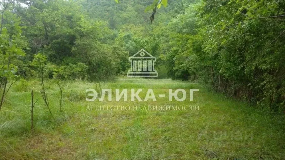 Участок в Краснодарский край, Туапсинский муниципальный округ, с. ... - Фото 0