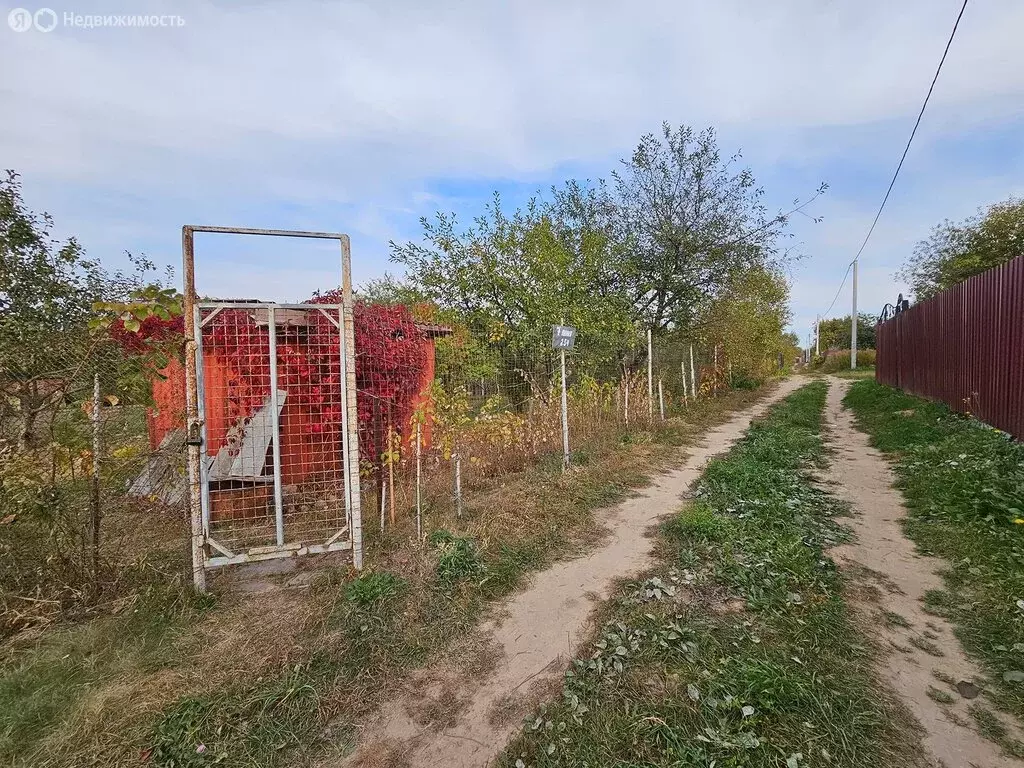 Участок в посёлок Мичуринский, СДТ Надежда, 254 (6 м) - Фото 0