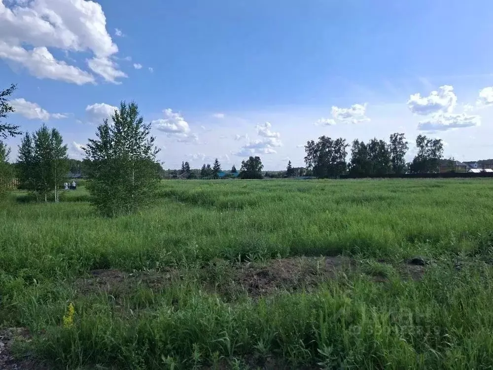 Участок в Омская область, Омский район муниципальный округ, д. ... - Фото 2