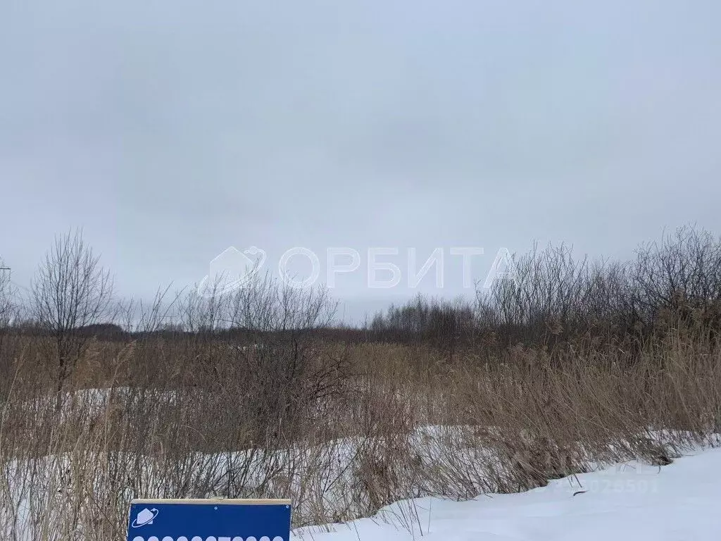 Участок в Тюменская область, Тюмень  (10.0 сот.) - Фото 1