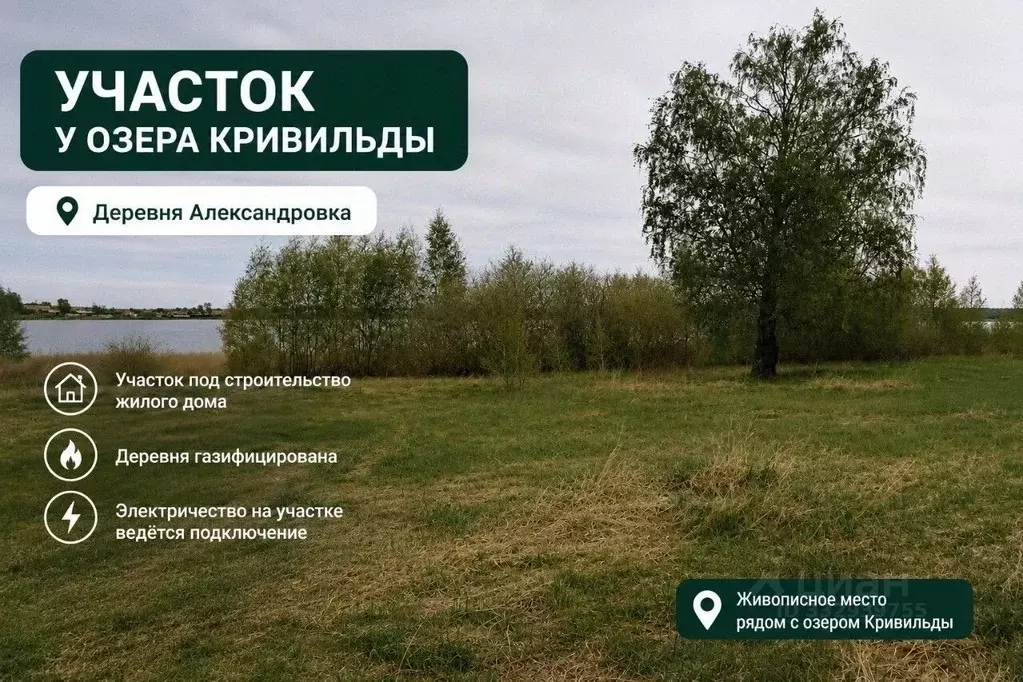 Участок в Челябинская область, Еткульский муниципальный округ, с. ... - Фото 1