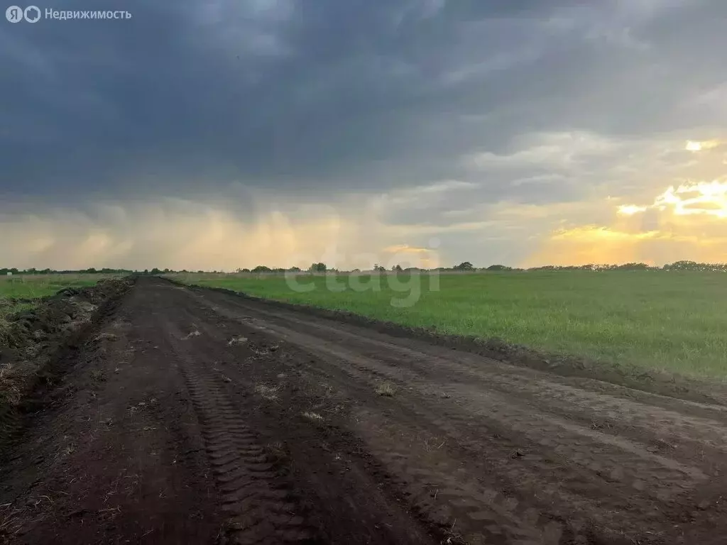 Участок в Колыванский район, деревня Малый Оеш (9.33 м) - Фото 0