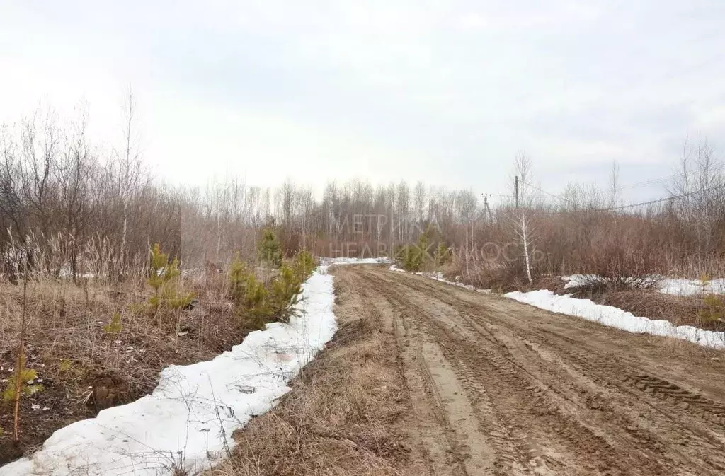 Участок в Тюменская область, Нижнетавдинский район, д. Московка  ... - Фото 0