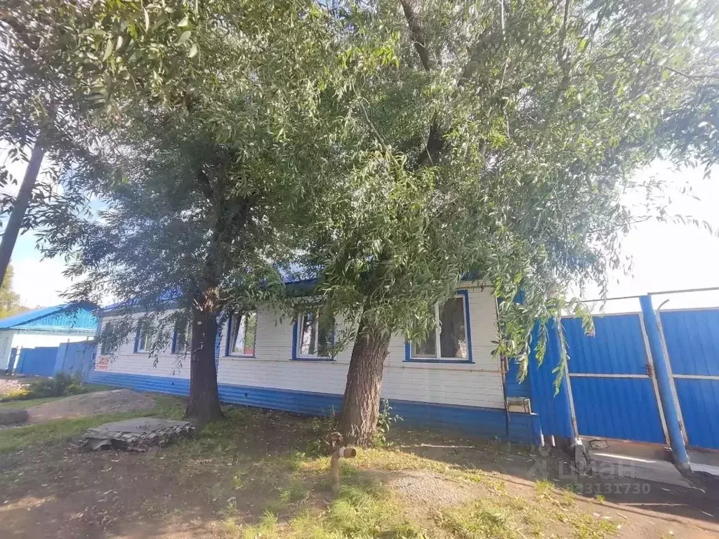 Дом в Омская область, Исилькуль ул. Субача (78 м) - Фото 1