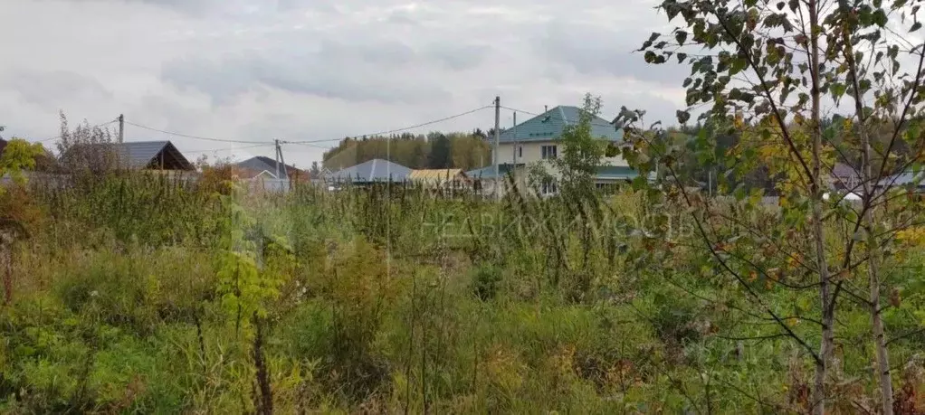 Участок в Тюменская область, Тюменский муниципальный округ, д. Ушакова ... - Фото 1