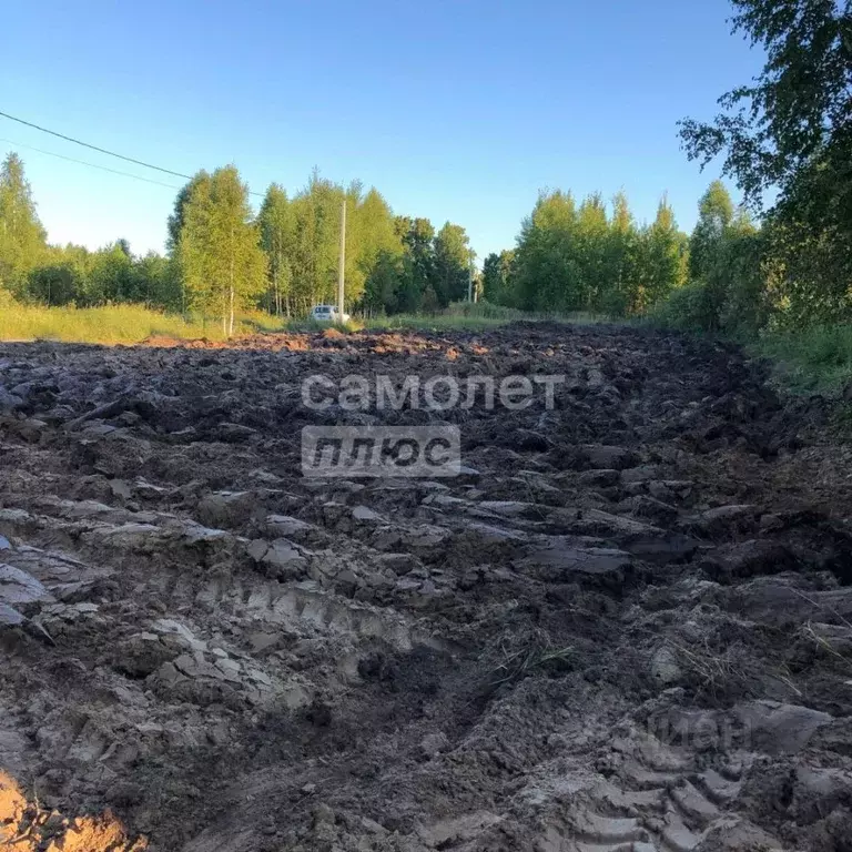 Участок в Тюменская область, Нижнетавдинский муниципальный округ, ... - Фото 2