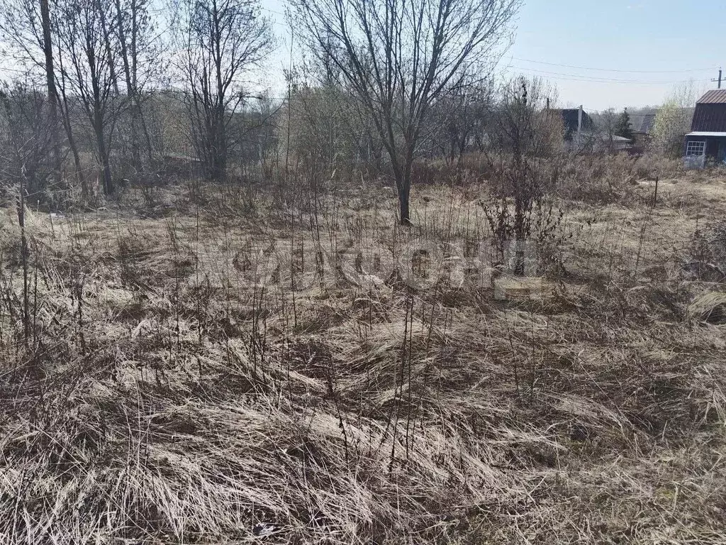 Участок в Брянская область, Брянский район, Добрунское с/пос, Сигнал ... - Фото 1