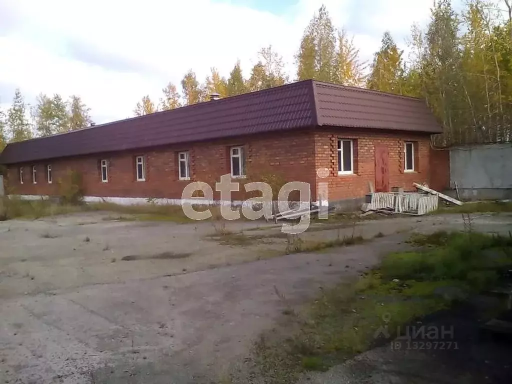 Склад в Свердловская область, Нижний Тагил Краснознаменная ул., 132 ... - Фото 0